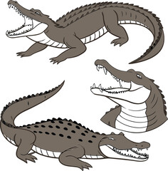 set of crocodile