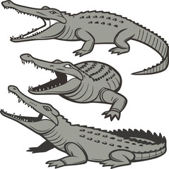 set of crocodile