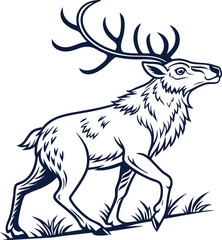 deer in the forest