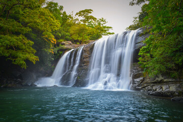Fototapeta premium waterfall in the forest