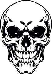 Head Vectors and Their Applications in Physics