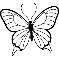 Graceful Sea Butterfly Line Illustration