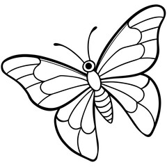 Graceful Sea Butterfly Line Illustration