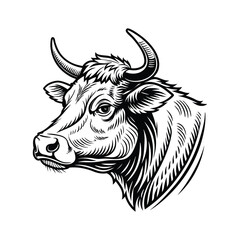 Cow head vector illustration, hand drawn style, isolated on a white background