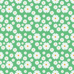 seamless flowers pattern with white daisy