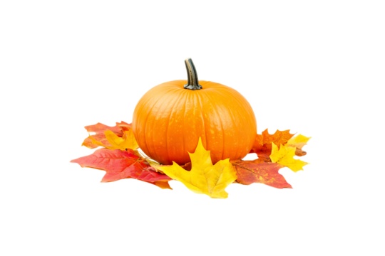 Autumn Pumpkin with Vibrant Fall Leaves