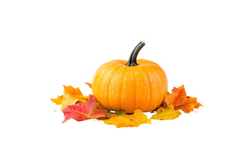 Autumn Pumpkin with Vibrant Fall Leaves