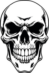 Head Vectors and Their Applications in Physics