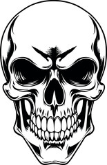 Head Vectors and Their Applications in Physics