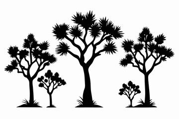differences styles of joshua tree line art silhouette vector illustration