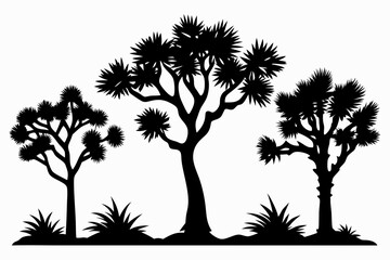 differences styles of joshua tree line art silhouette vector illustration