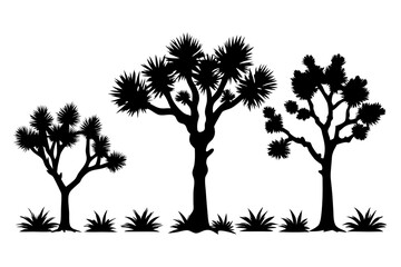 differences styles of joshua tree line art silhouette vector illustration