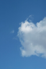 Light Blue Sky with Fluffy Cloud – Natural Background for Peaceful, Airy, or Clean Design Concepts in Digital Media, Print, or Web Use