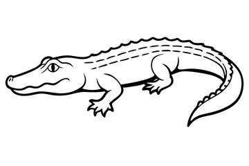 alligator line art silhouette vector illustration