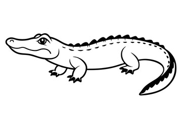 alligator line art silhouette vector illustration