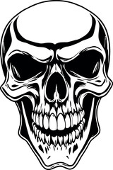 Head Vectors and Their Applications in Physics