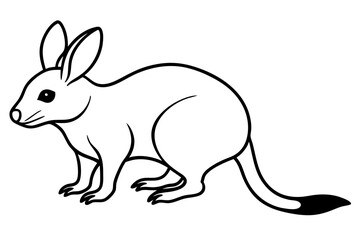 bilby line art silhouette vector illustration