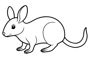 Obraz premium bilby line art silhouette vector illustration