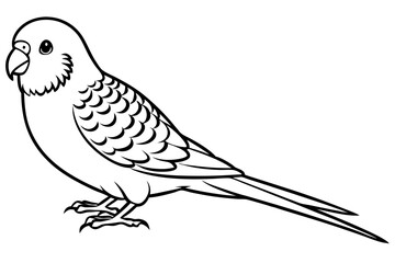 Fototapeta premium budgerigar budgie line art silhouette vector illustration