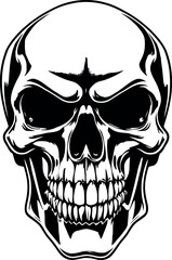 Head Vectors and Their Applications in Physics