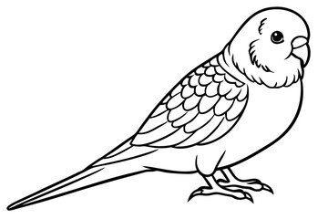 budgerigar budgie line art silhouette vector illustration