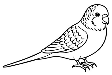 budgerigar budgie line art silhouette vector illustration