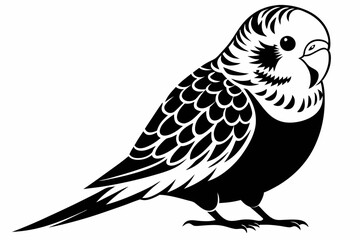 budgerigar budgie line art silhouette vector illustration