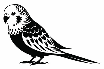 Fototapeta premium budgerigar budgie line art silhouette vector illustration