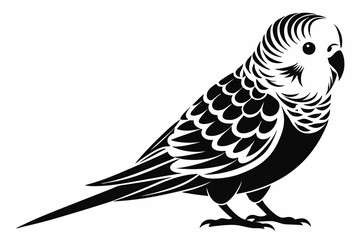 budgerigar budgie line art silhouette vector illustration