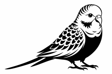budgerigar budgie line art silhouette vector illustration
