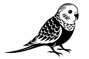 Fototapeta premium budgerigar budgie line art silhouette vector illustration