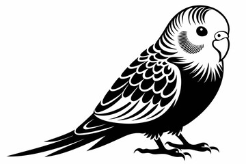 budgerigar budgie line art silhouette vector illustration