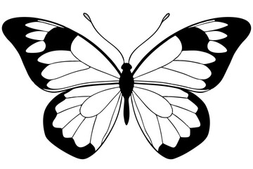 butterfly line art silhouette vector illustration