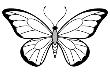butterfly line art silhouette vector illustration