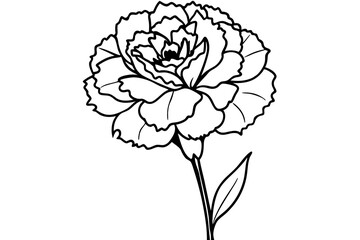Obraz premium carnation flower line art silhouette vector illustration