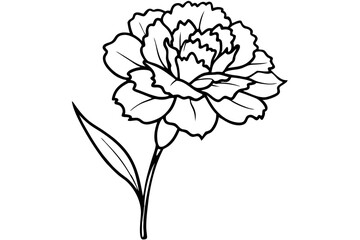 carnation flower line art silhouette vector illustration