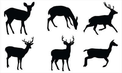 Fototapeta premium deer silhouette set on white background