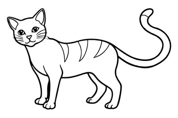 Fototapeta premium cat line art silhouette vector illustration