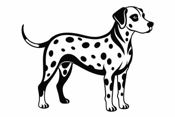 Fototapeta premium dalmatian line art silhouette vector illustration