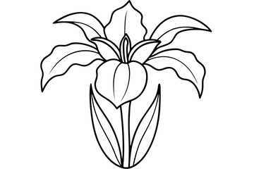 iris flower line art silhouette vector illustration