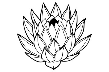 king protea flower line art silhouette vector illustration
