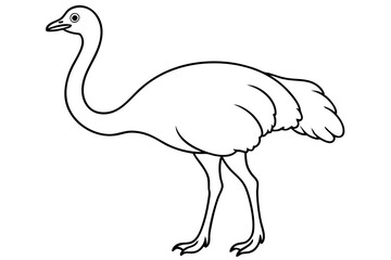 ostrich line art silhouette vector illustration
