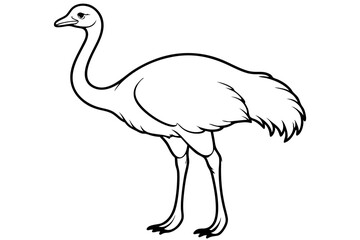 ostrich line art silhouette vector illustration