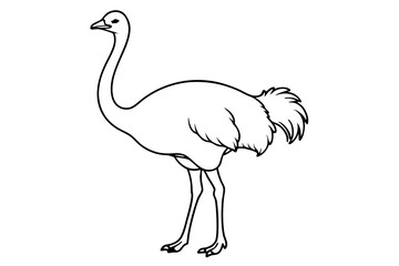 ostrich line art silhouette vector illustration