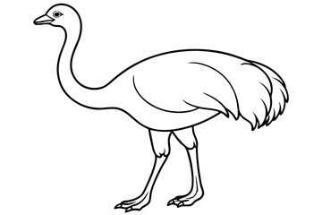 ostrich line art silhouette vector illustration