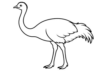 ostrich line art silhouette vector illustration