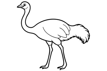 ostrich line art silhouette vector illustration