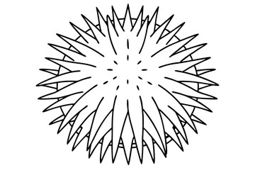 Obraz premium sea urchin line art silhouette vector illustration