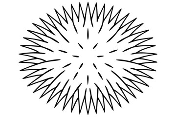 Obraz premium sea urchin line art silhouette vector illustration