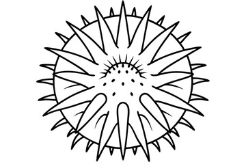 Obraz premium sea urchin line art silhouette vector illustration